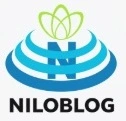niloufar mahboub 